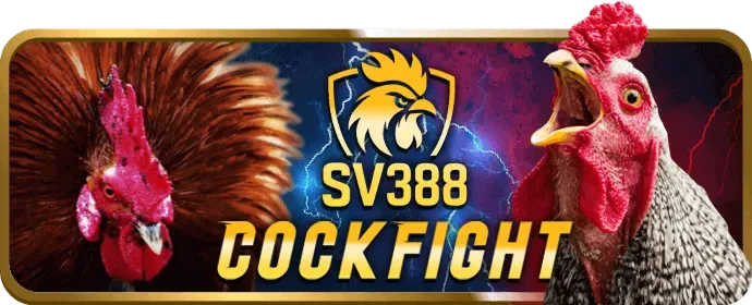 Cá cược Thể thao HO88